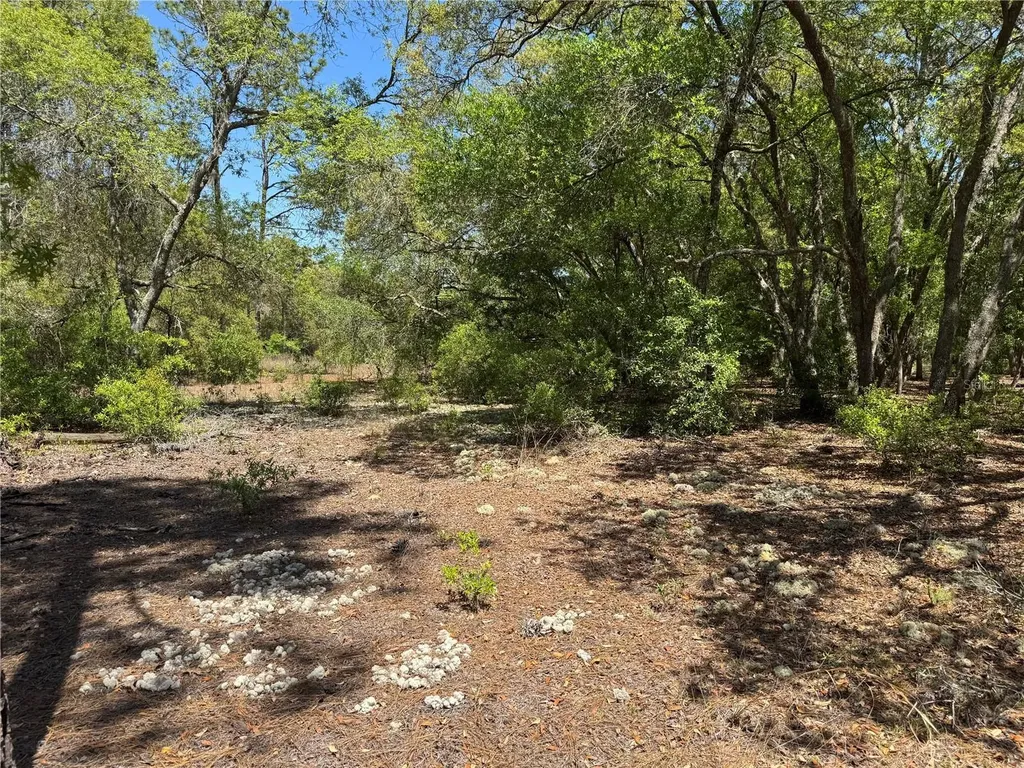 Lot 2 SW 206 Avenue Dunnellon FL 34431