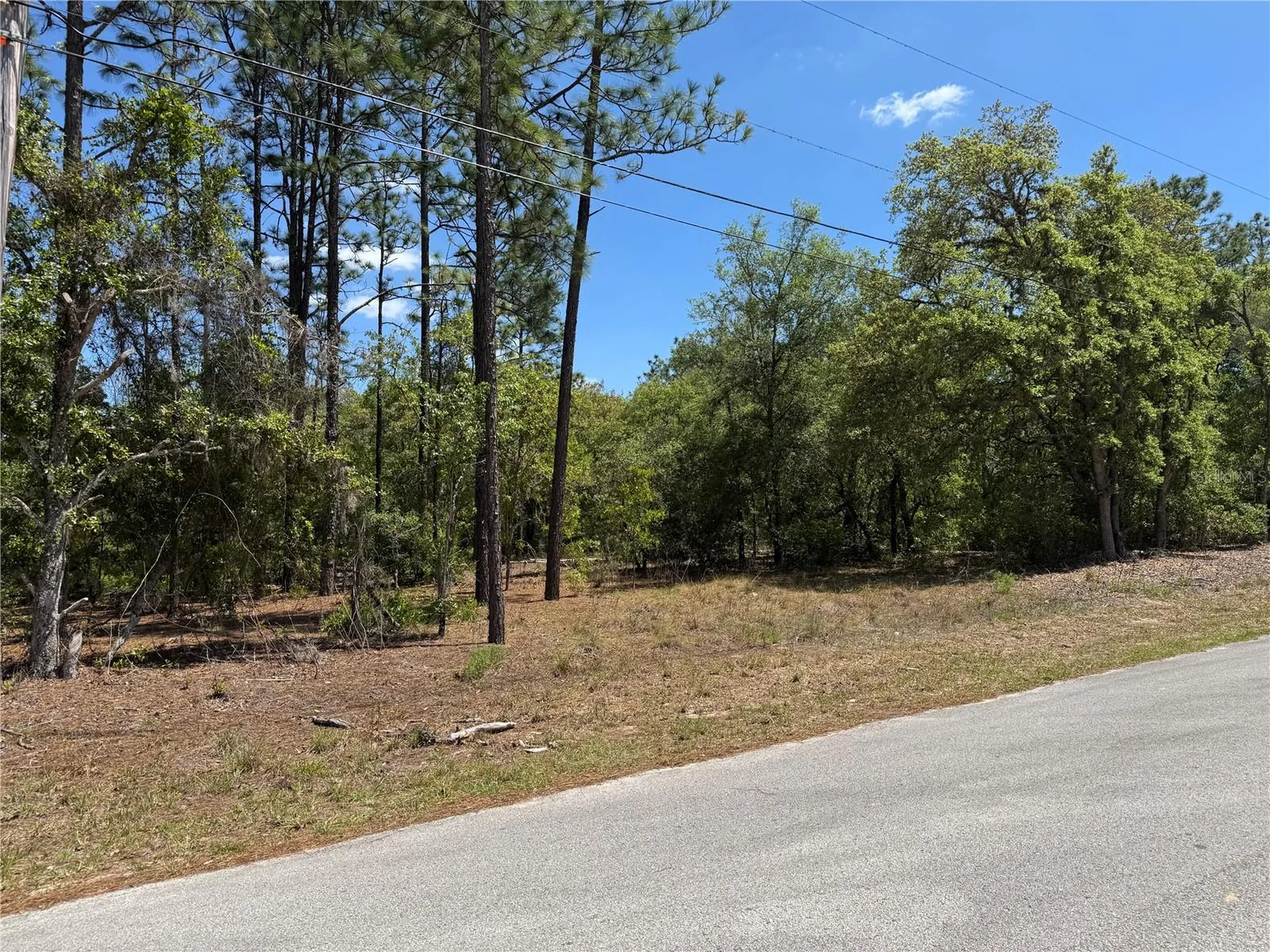 Lot 2 SW 206 Avenue Dunnellon FL 34431
