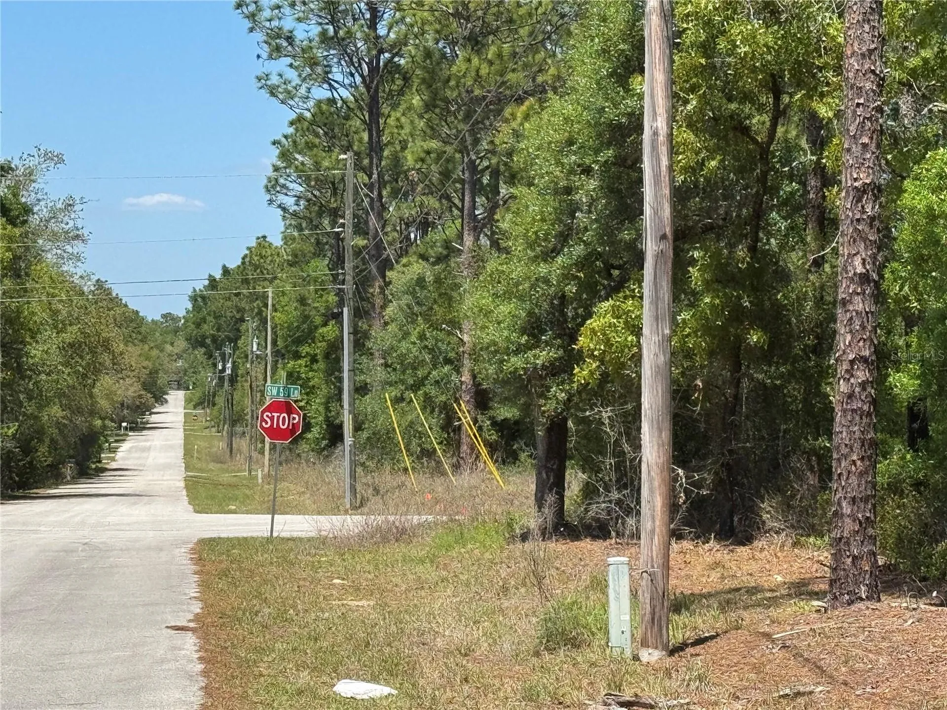 Lot 2 SW 206 Avenue Dunnellon FL 34431
