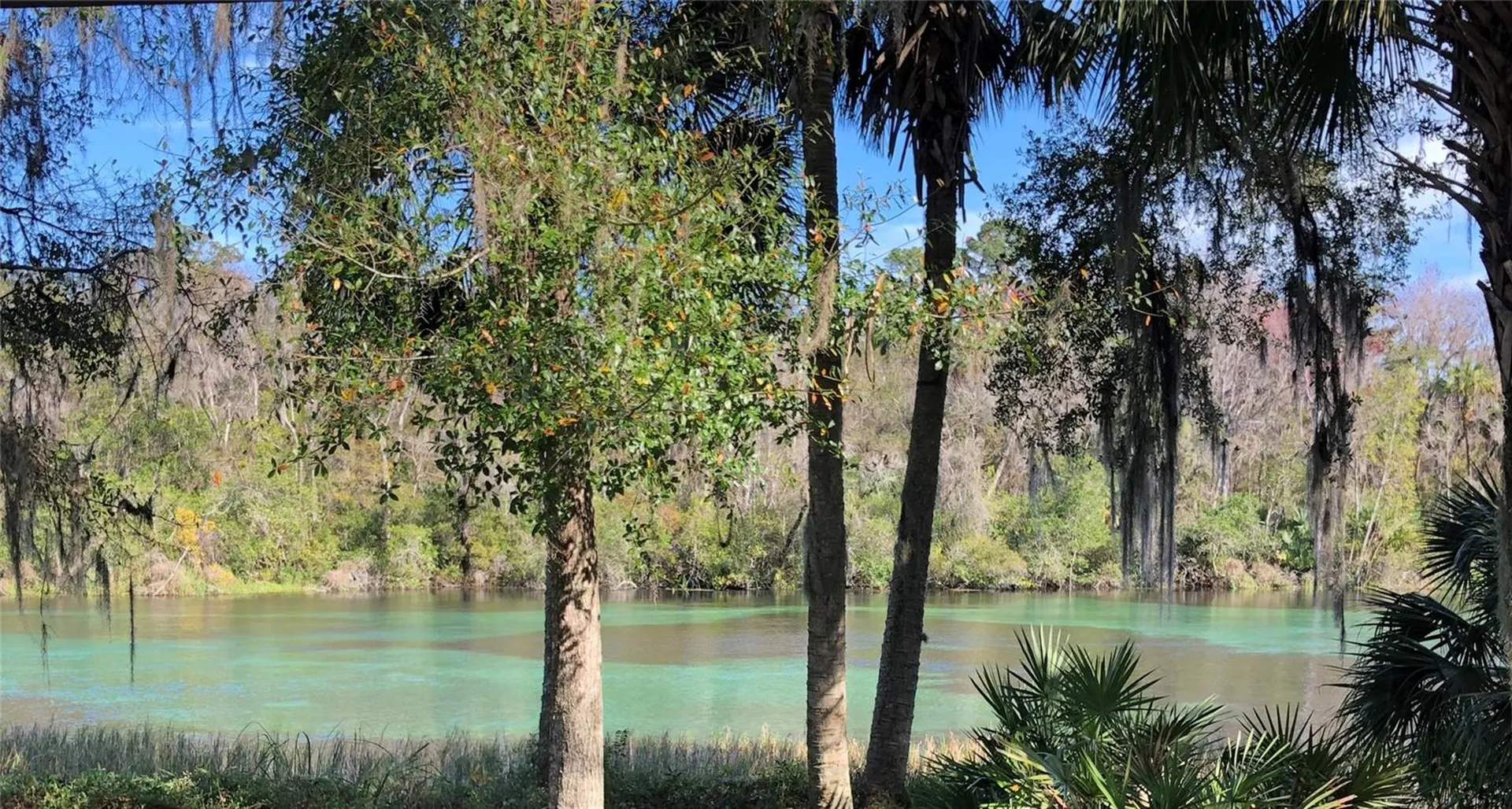 Lot 2 SW 206 Avenue Dunnellon FL 34431