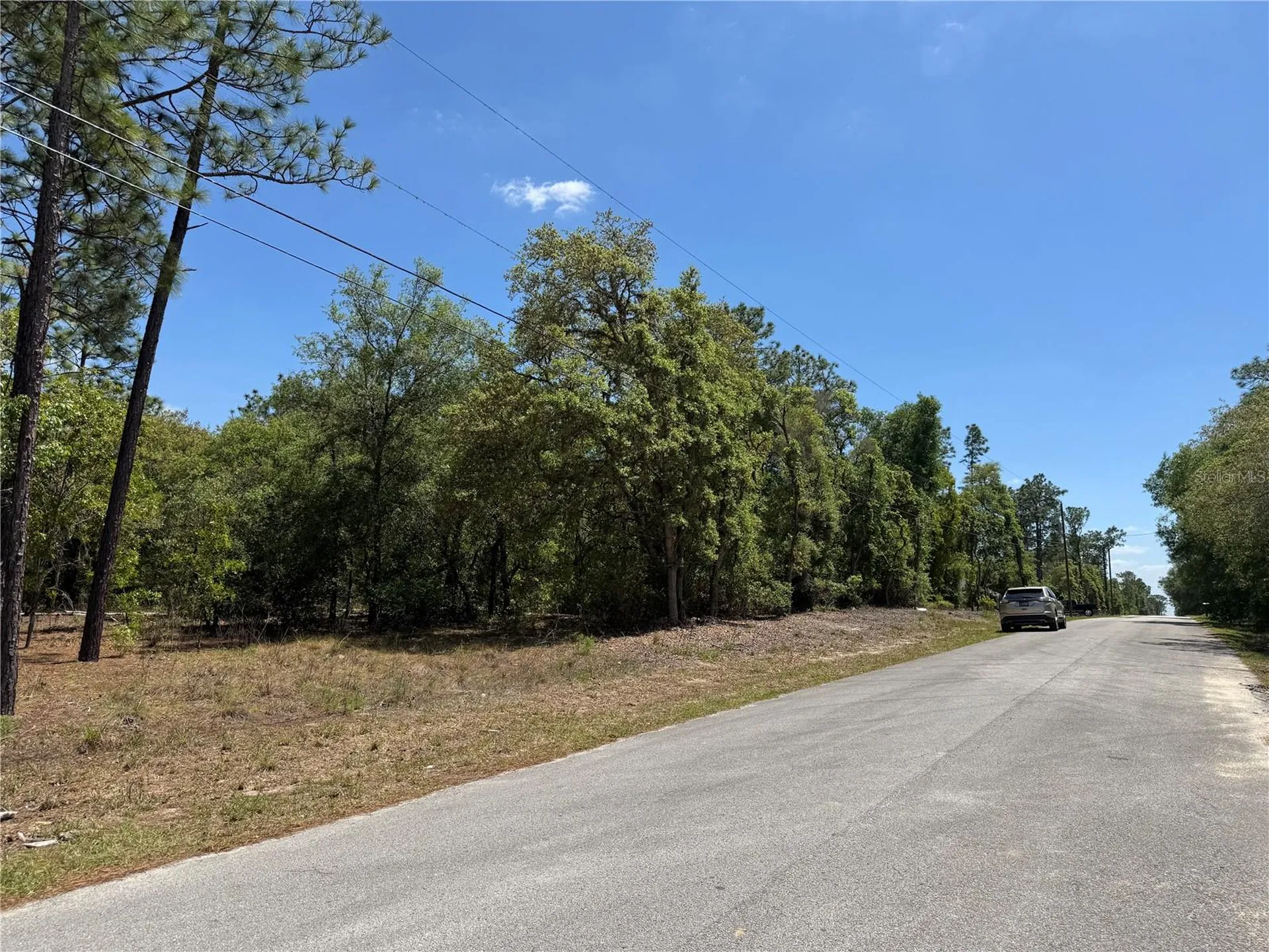 Lot 2 SW 206 Avenue Dunnellon FL 34431