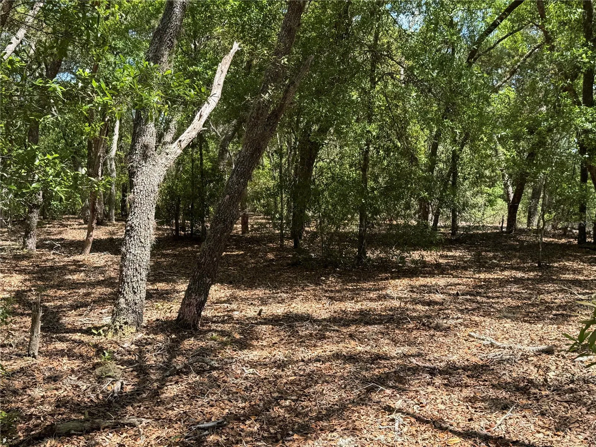 Lot 2 SW 206 Avenue Dunnellon FL 34431