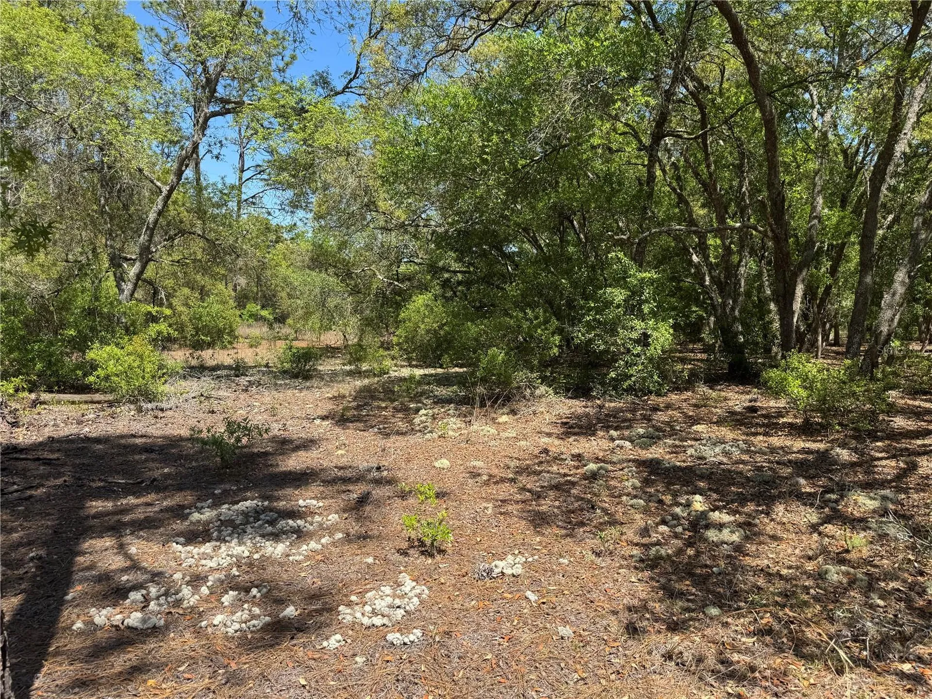 Lot 2 SW 206 Avenue Dunnellon FL 34431