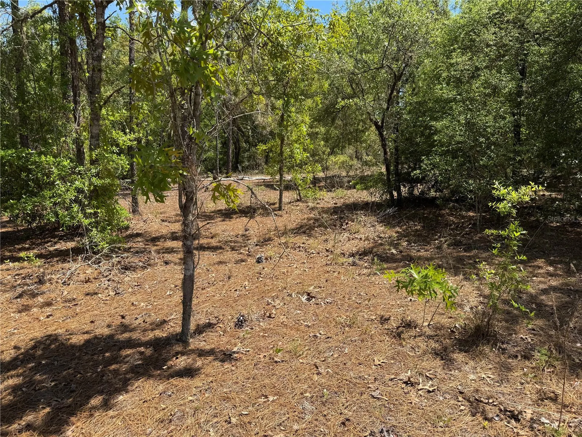 Lot 2 SW 206 Avenue Dunnellon FL 34431