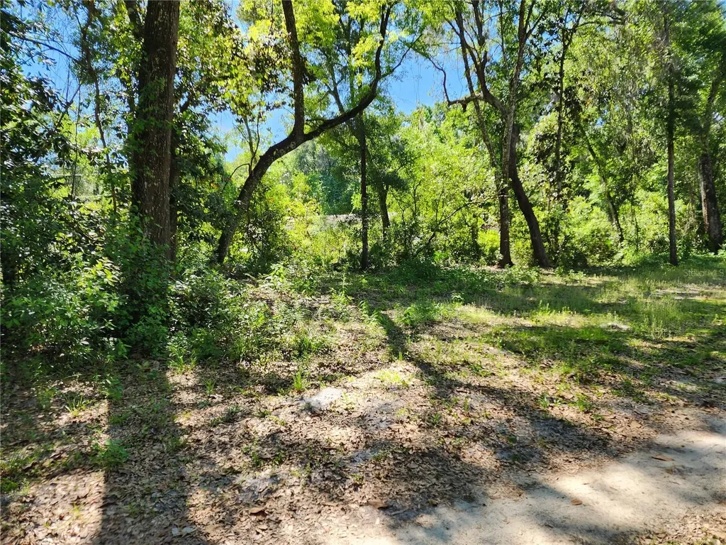 4150 S Spaniel Trail Inverness FL 34450