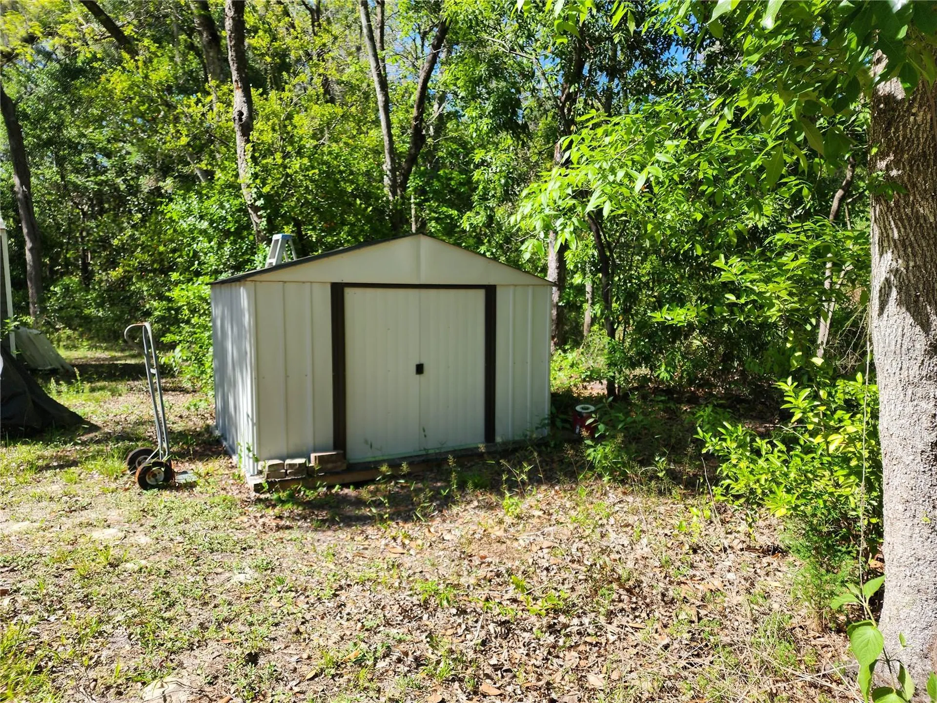 4150 S Spaniel Trail Inverness FL 34450