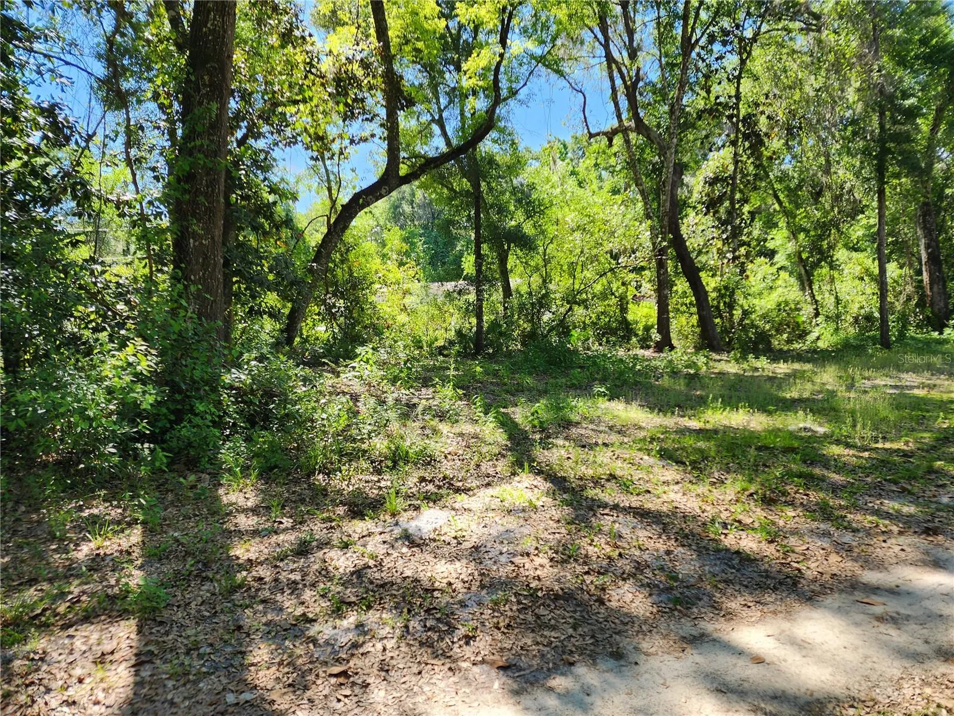 4150 S Spaniel Trail Inverness FL 34450