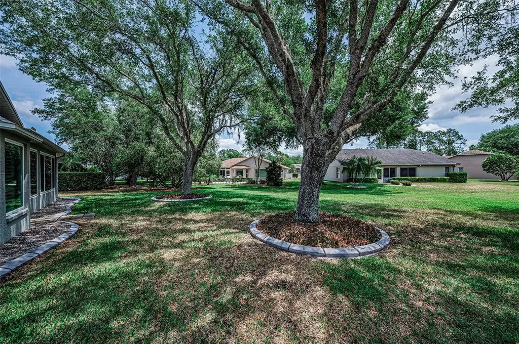 1300 Fallowfield Drive Trinity FL 34655