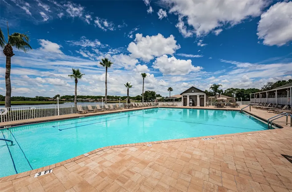 1300 Fallowfield Drive Trinity FL 34655