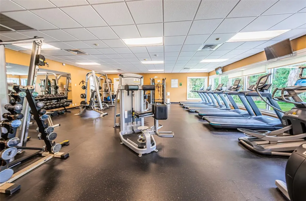 1300 Fallowfield Drive Trinity FL 34655