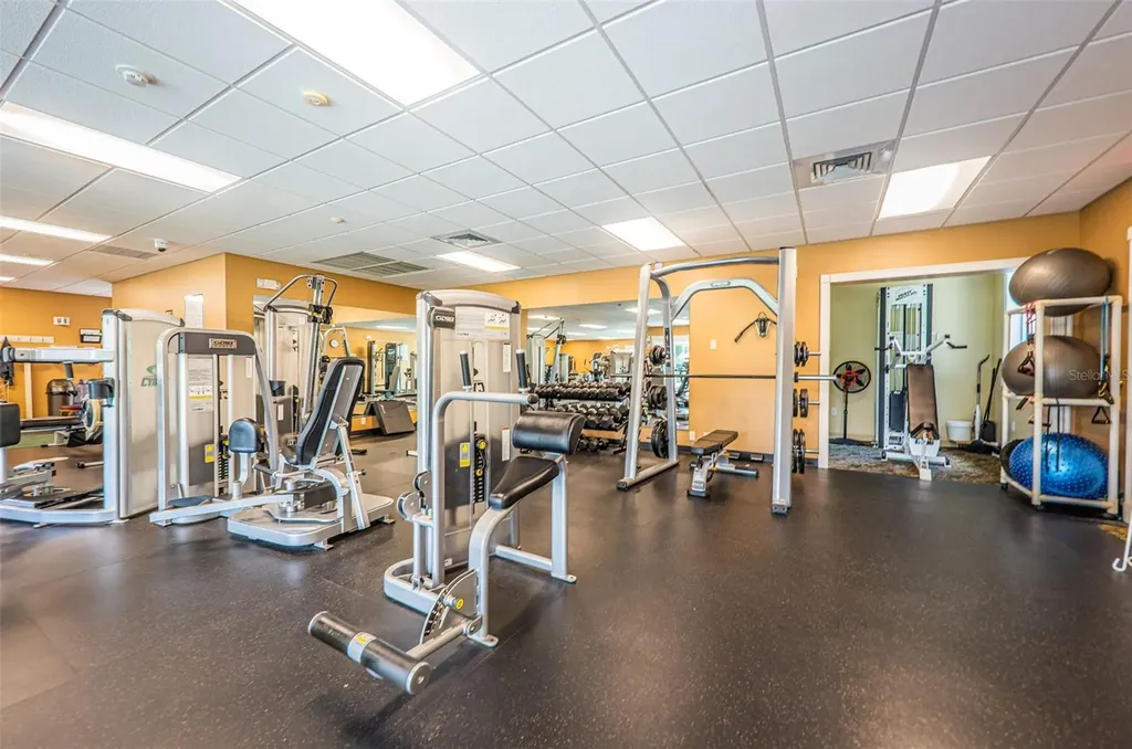 1300 Fallowfield Drive Trinity FL 34655