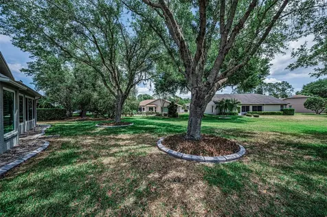 1300 Fallowfield Drive Trinity FL 34655