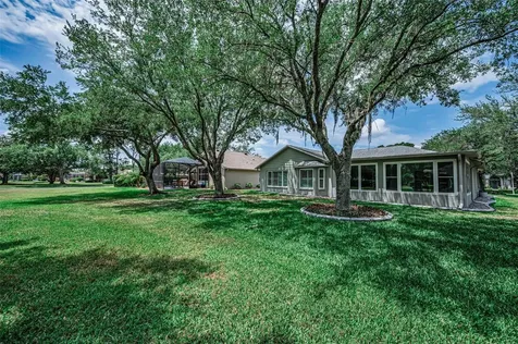 1300 Fallowfield Drive Trinity FL 34655