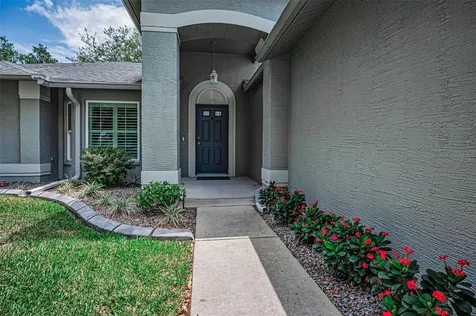 1300 Fallowfield Drive Trinity FL 34655
