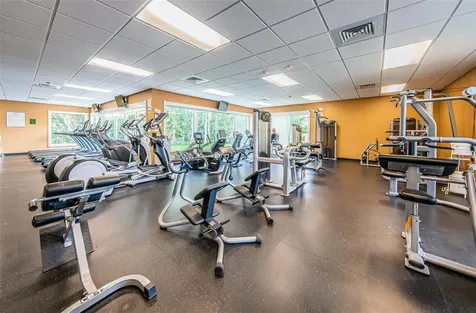 1300 Fallowfield Drive Trinity FL 34655
