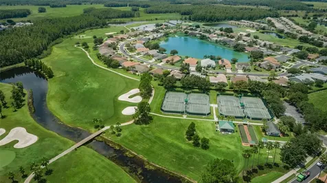 1300 Fallowfield Drive Trinity FL 34655