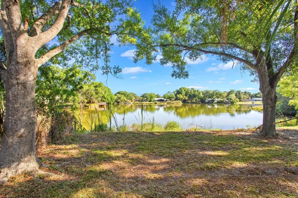 9608 Springbrook Drive Riverview FL 33578
