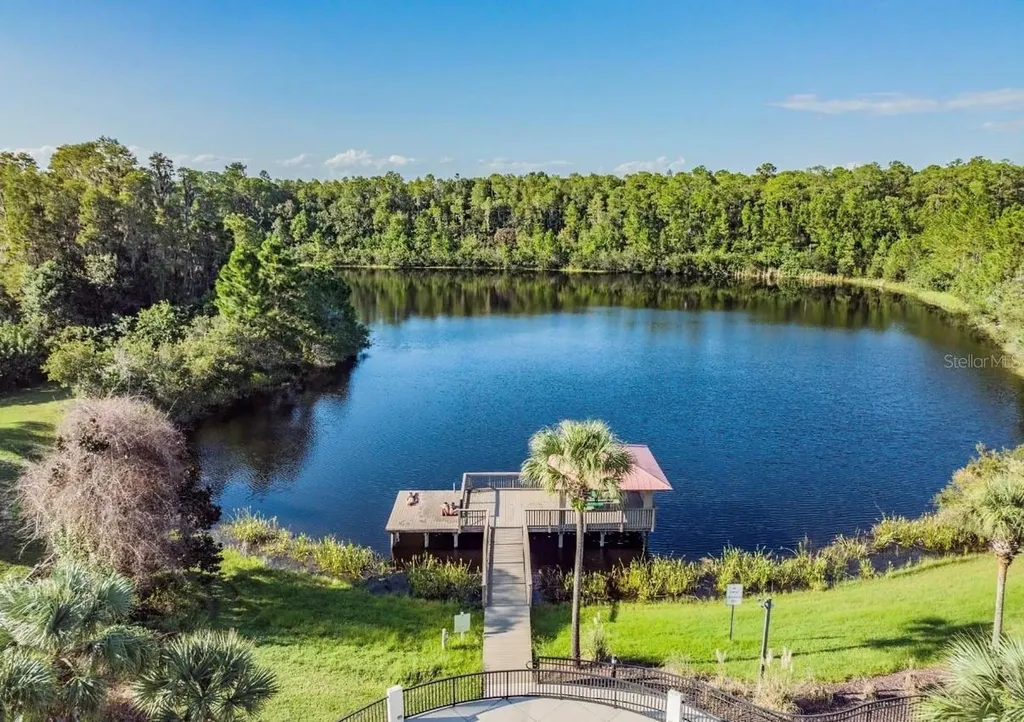8904 Crystal Creek Court Land O Lakes FL 34638