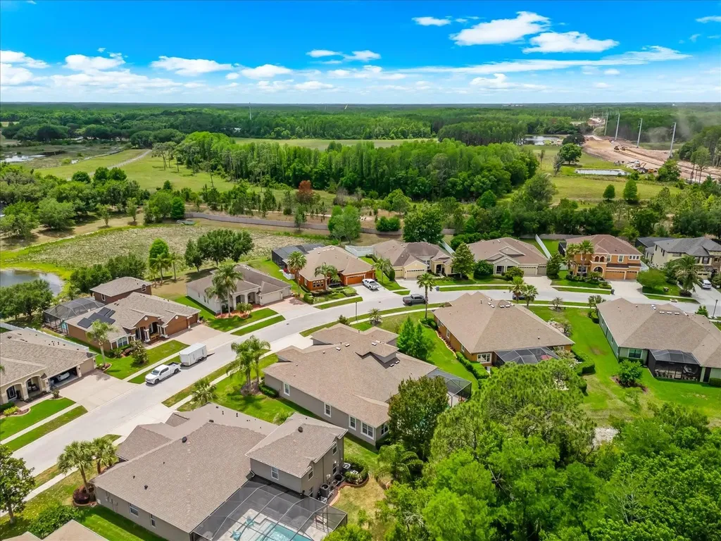 8904 Crystal Creek Court Land O Lakes FL 34638