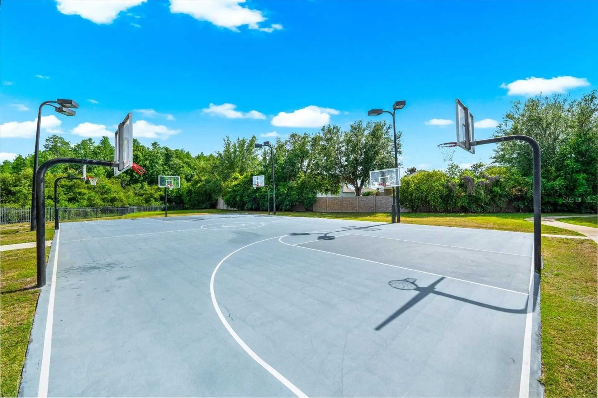 8904 Crystal Creek Court Land O Lakes FL 34638
