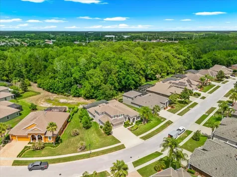 8904 Crystal Creek Court Land O Lakes FL 34638