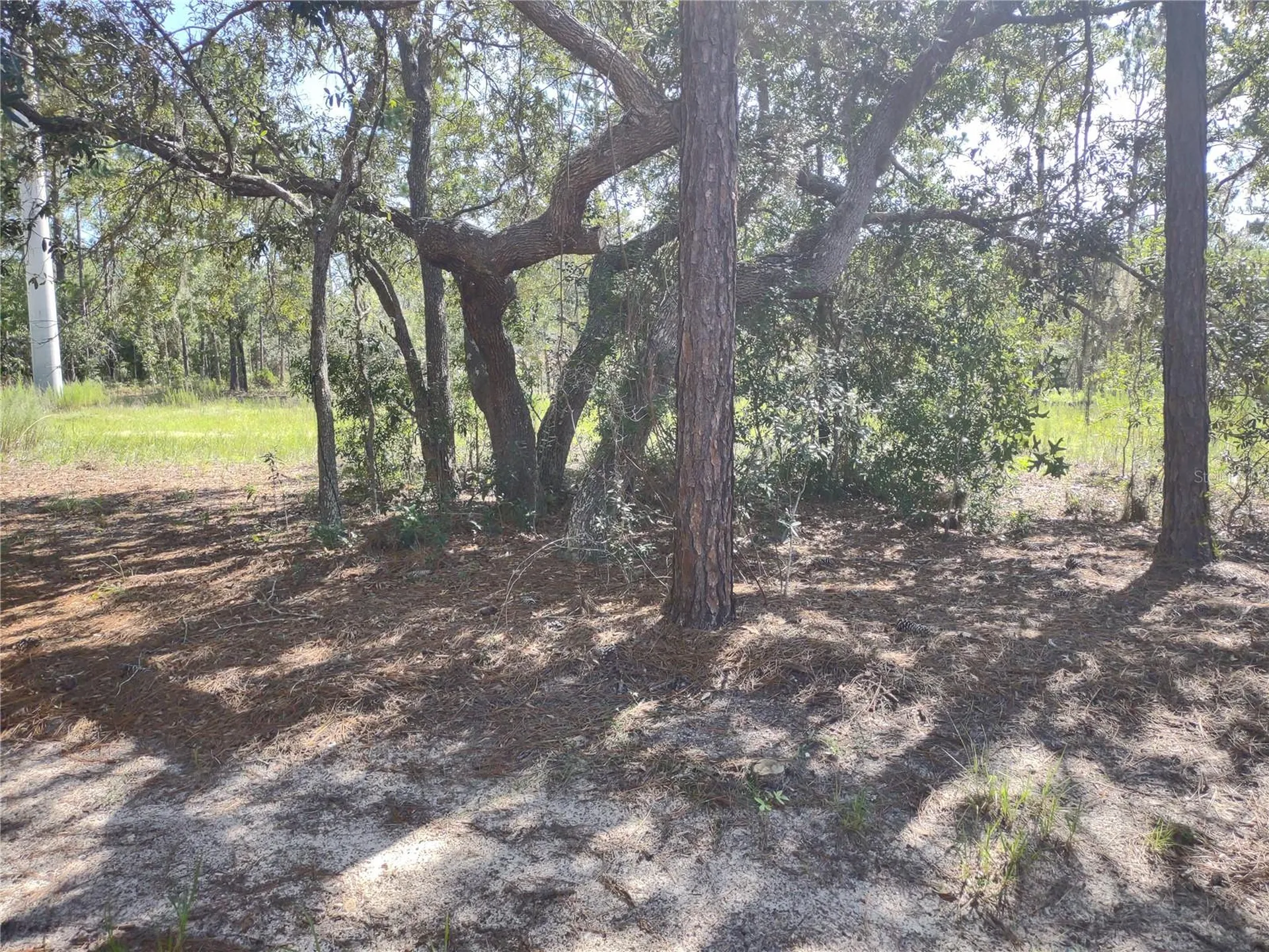9325 N Travis Drive Citrus Springs FL 34434