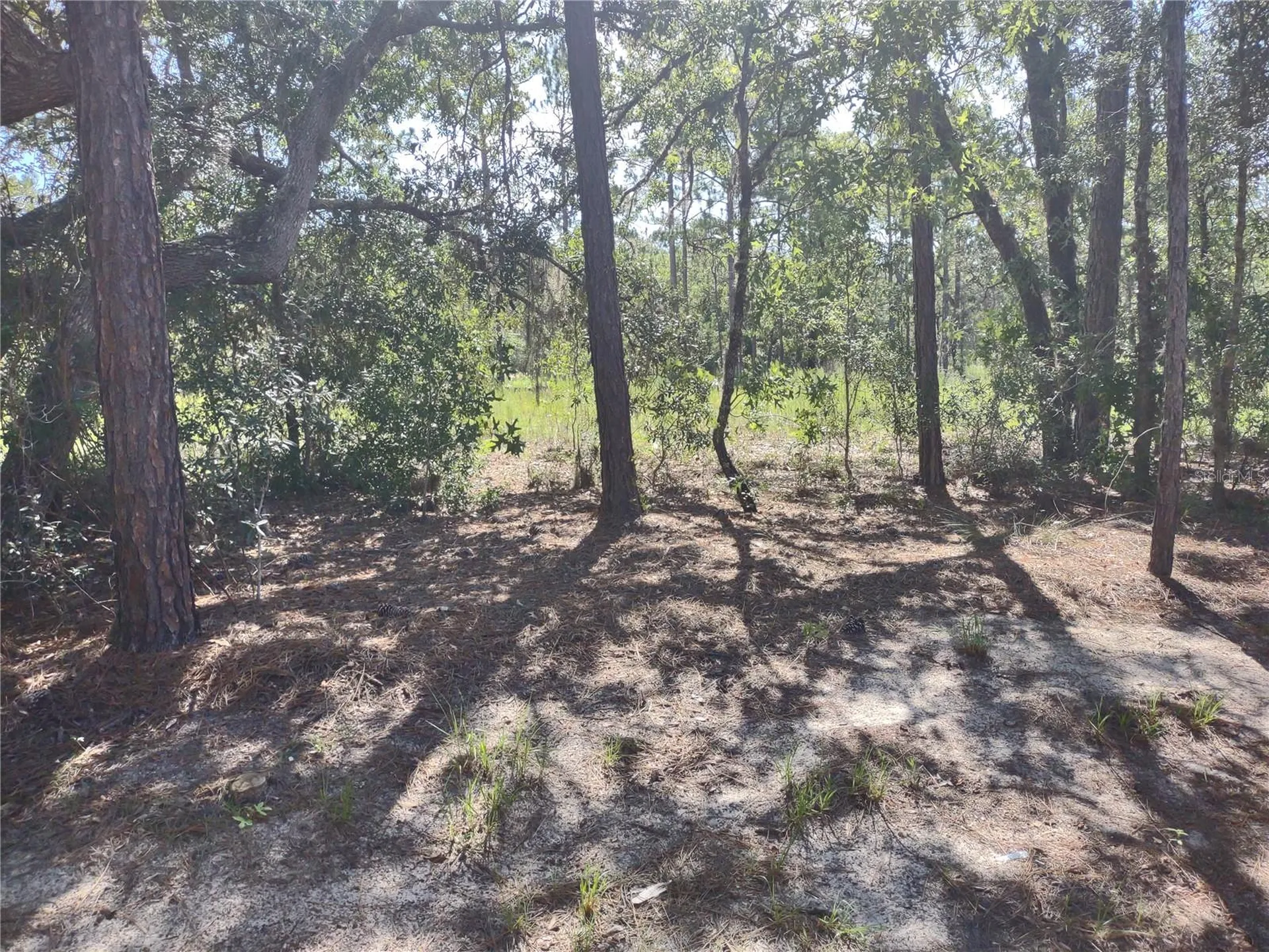 9325 N Travis Drive Citrus Springs FL 34434