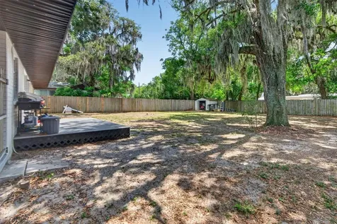 2303 Mahoney Avenue Leesburg FL 34748