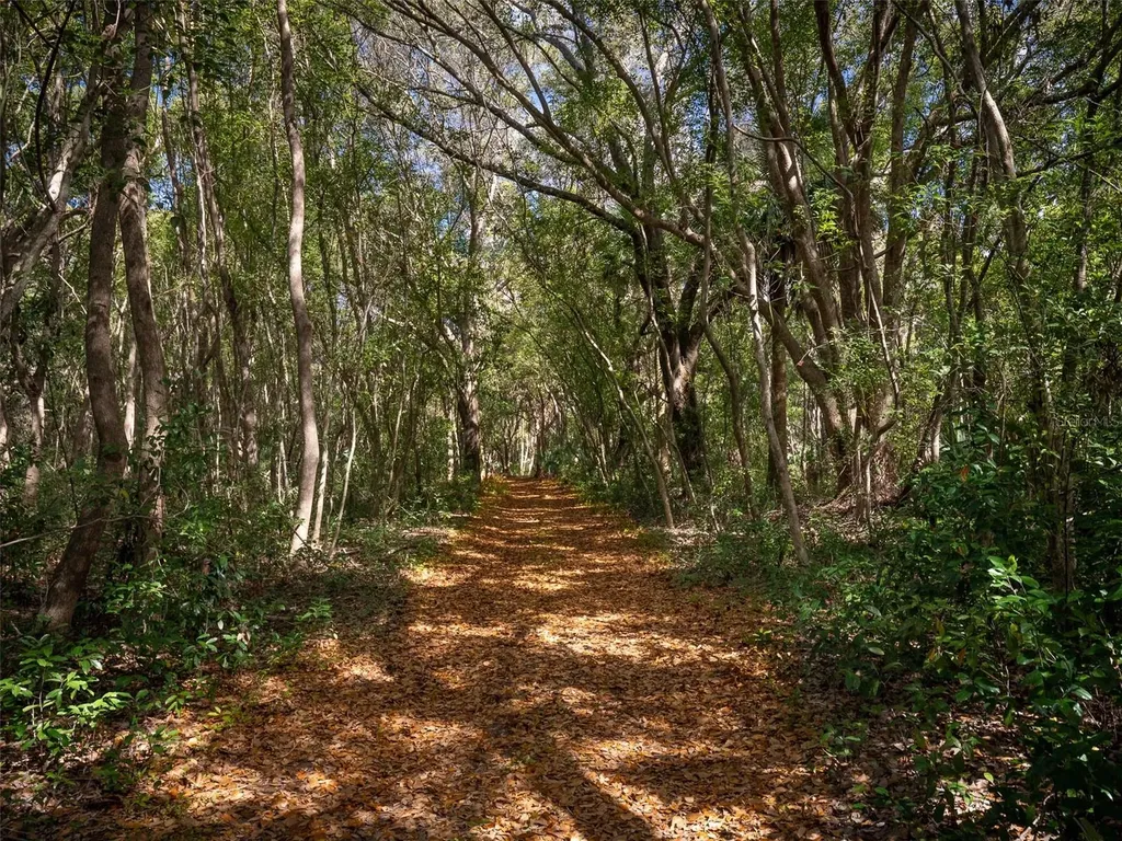 12495 SE Sunset Harbor Road Weirsdale FL 32195