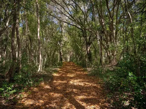 12495 SE Sunset Harbor Road Weirsdale FL 32195