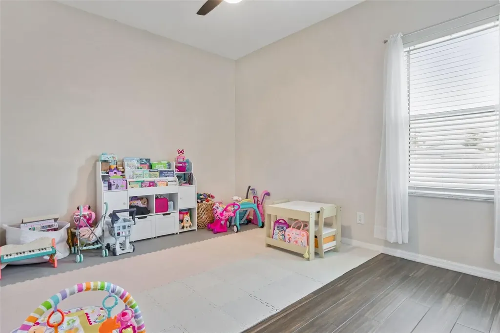 24833 Panacea Court Lutz FL 33559