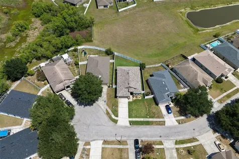 24833 Panacea Court Lutz FL 33559
