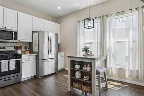 24833 Panacea Court Lutz FL 33559