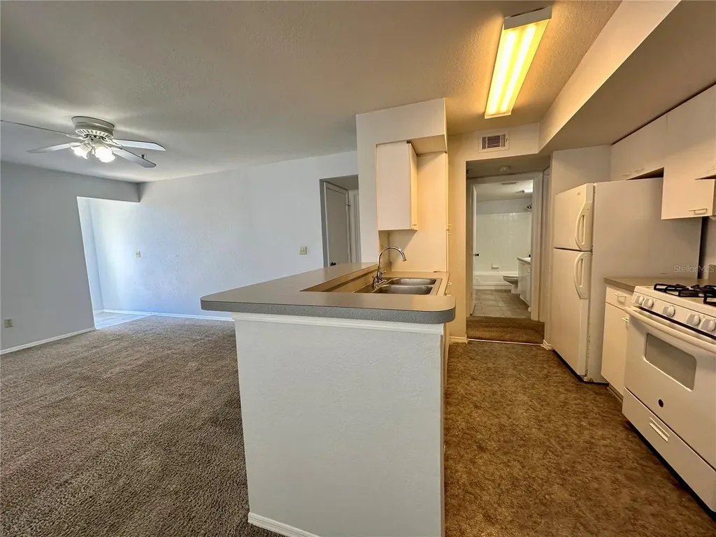 1610 Columbia Arms Circle Kissimmee FL 34741