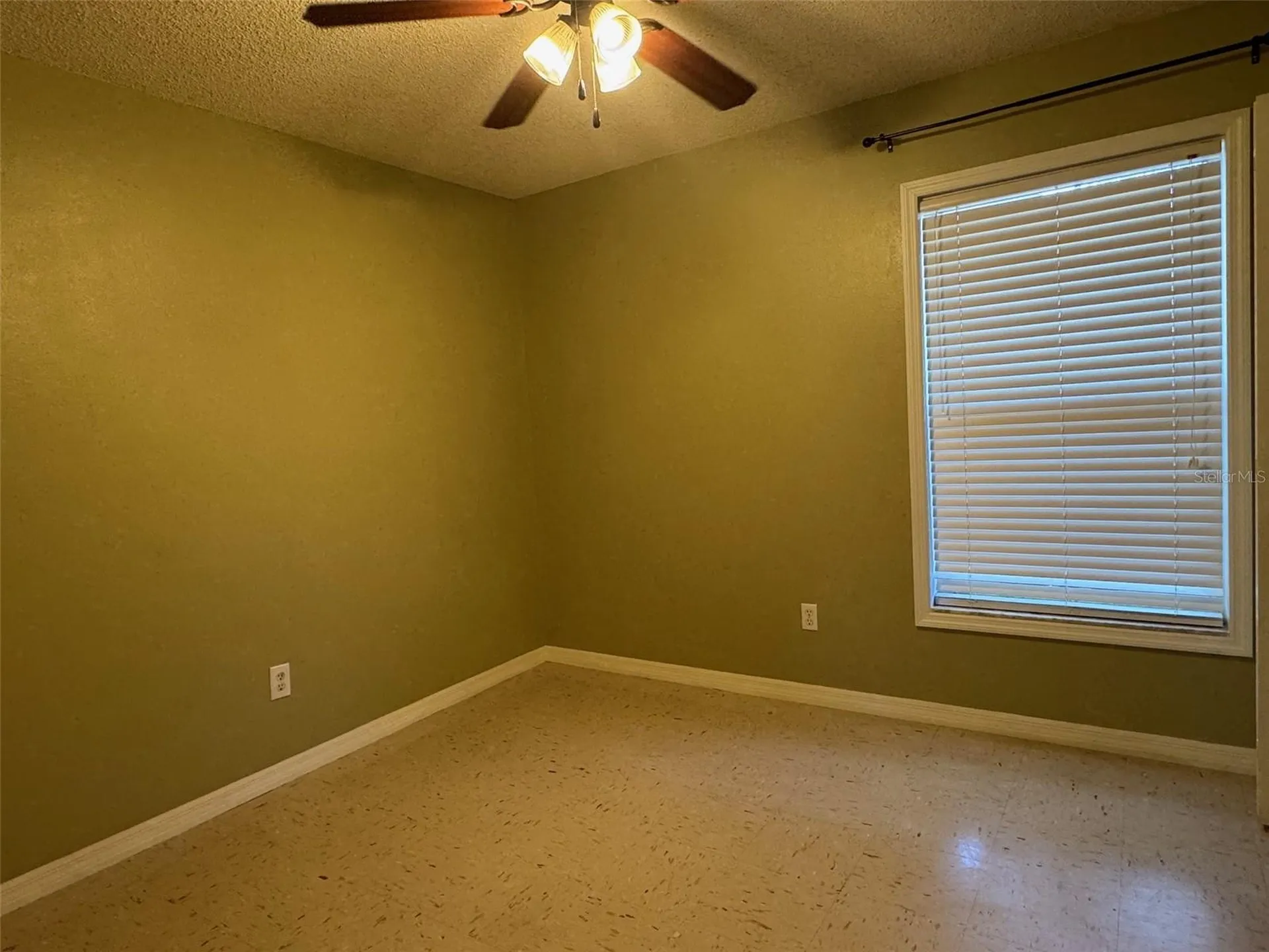 5435 Tangerine Drive Zephyrhills FL 33542