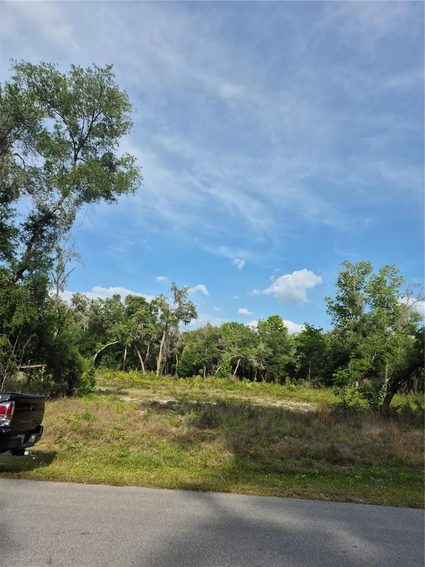 7490 Shasta Street Webster FL 33597
