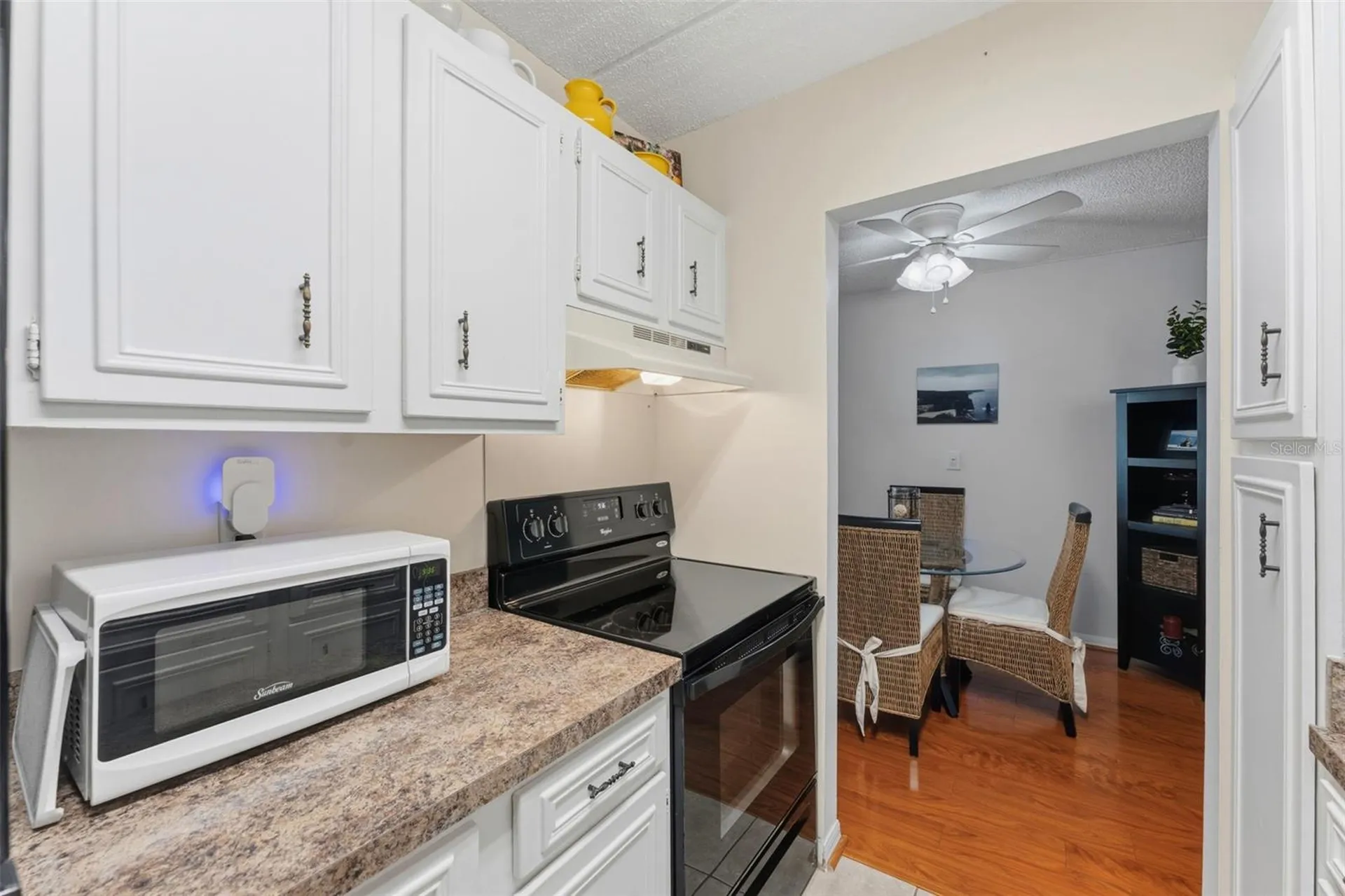 3325 Bayshore Boulevard Tampa FL 33629