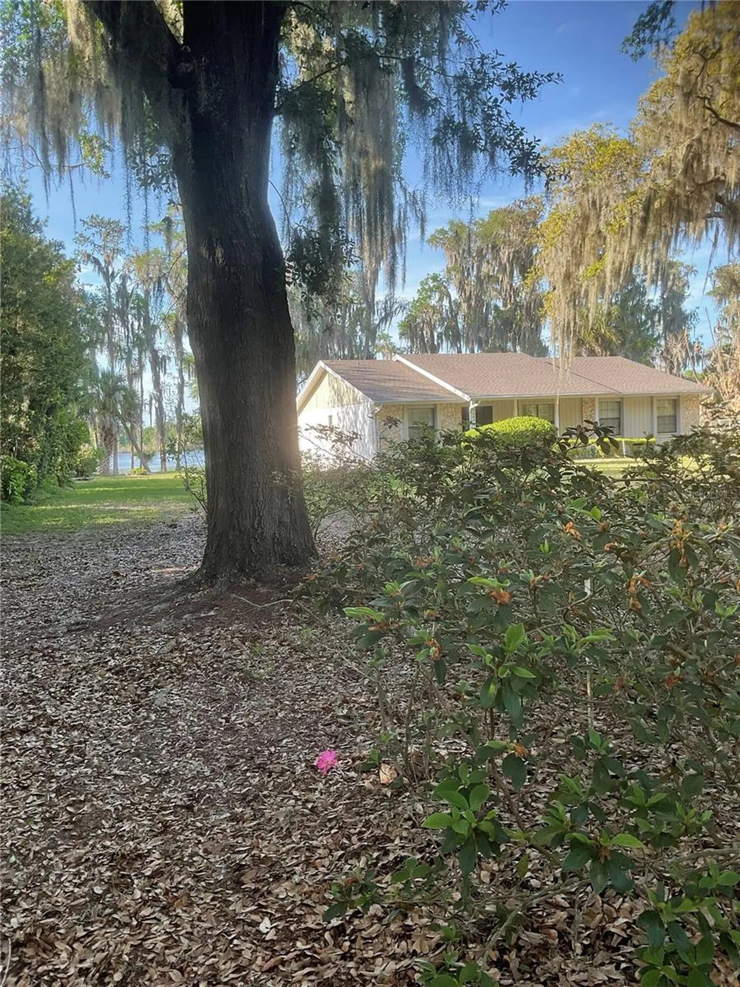 17005 Arrowhead Boulevard Winter Garden FL 34787