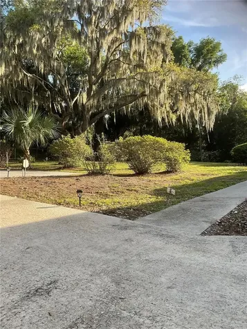17005 Arrowhead Boulevard Winter Garden FL 34787