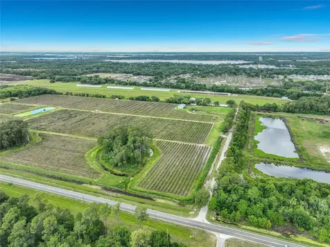 7001 Jones Avenue Mount Dora FL 32757