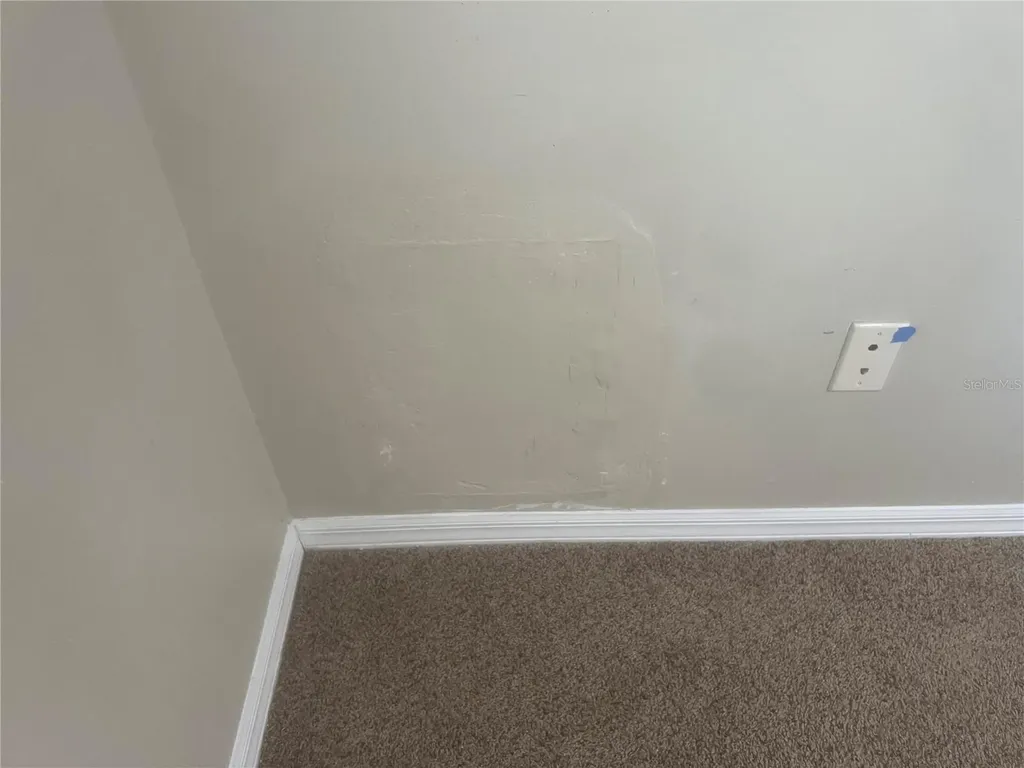 10237 Shadow Branch Drive Tampa FL 33647