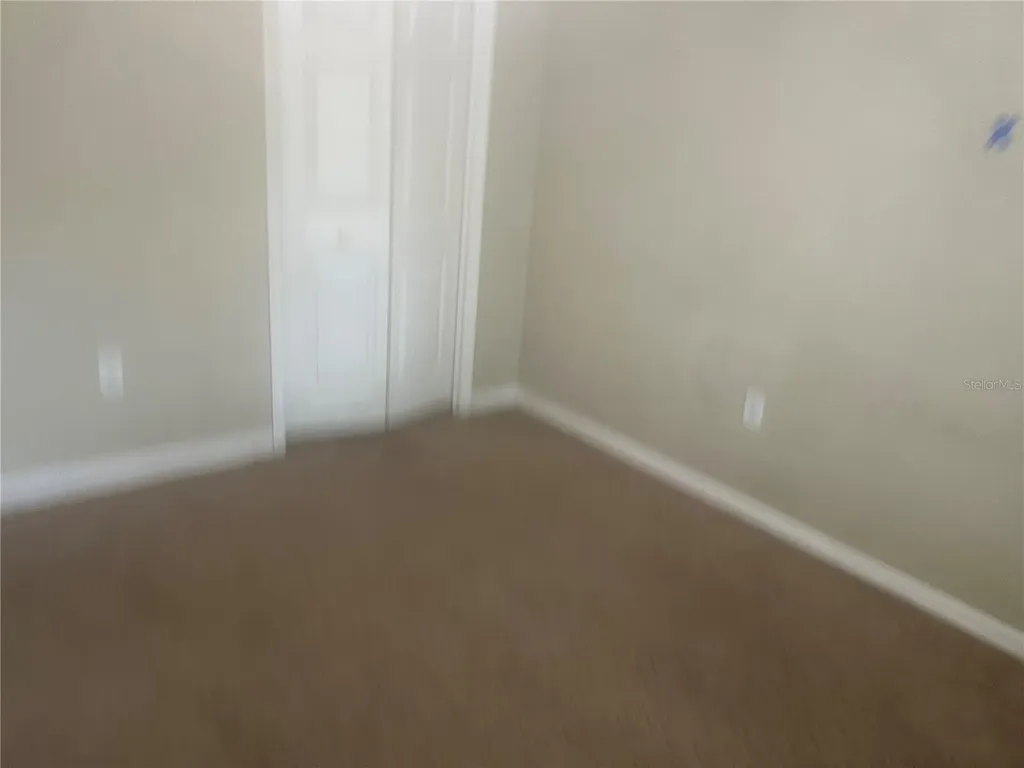 10237 Shadow Branch Drive Tampa FL 33647