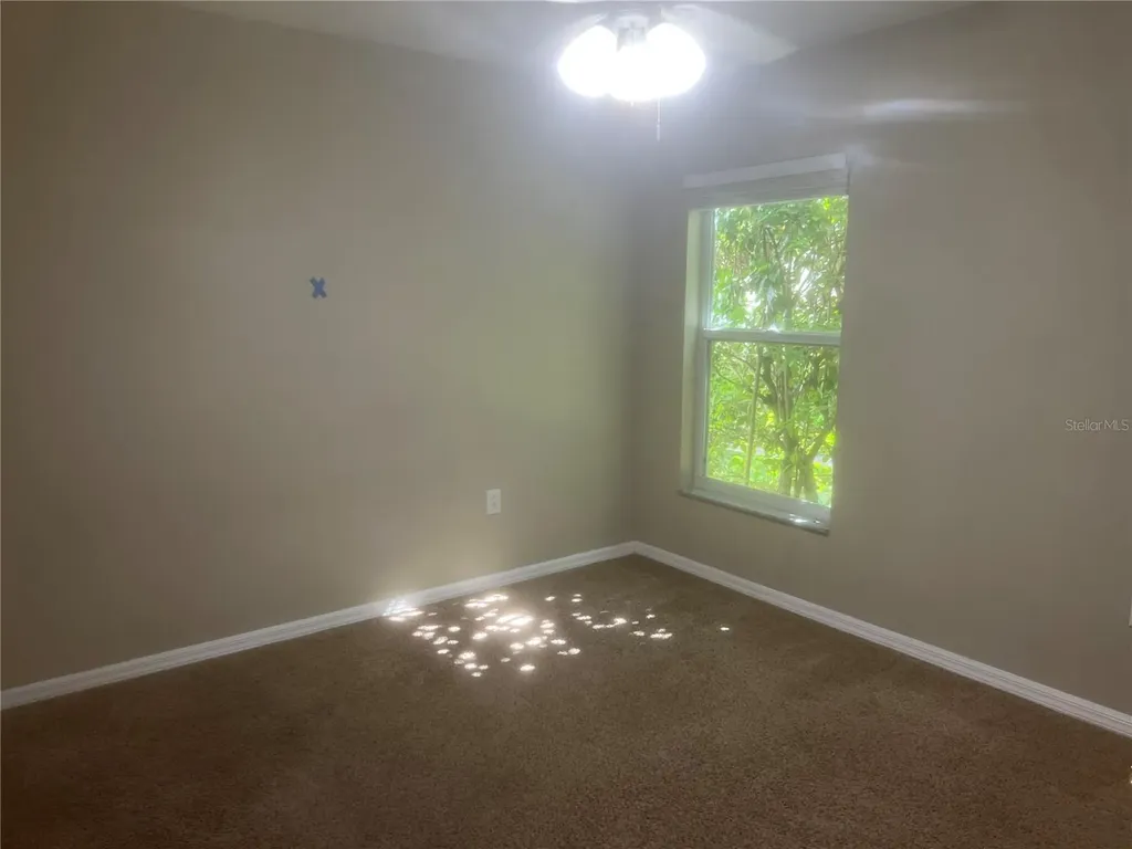 10237 Shadow Branch Drive Tampa FL 33647