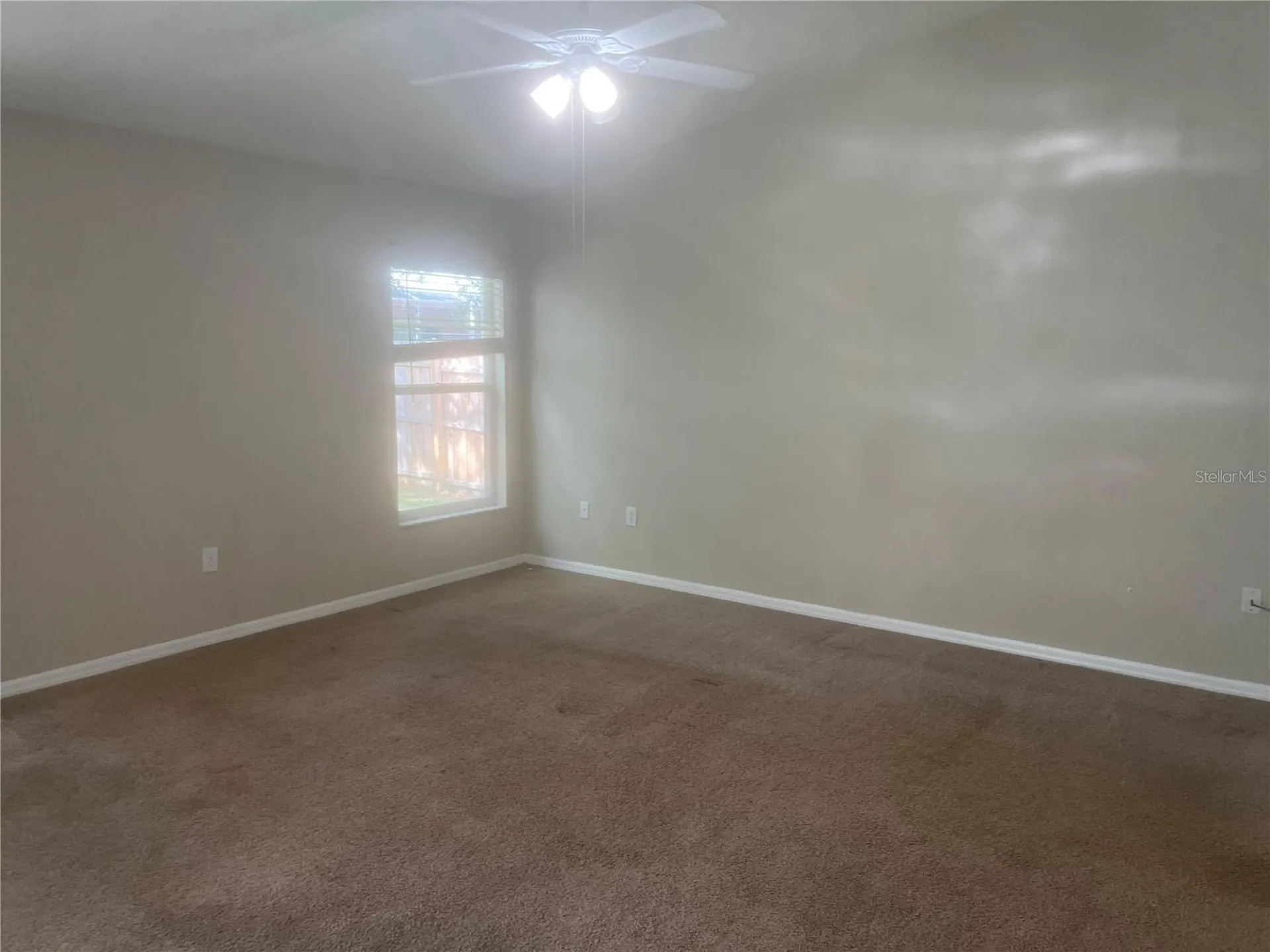 10237 Shadow Branch Drive Tampa FL 33647