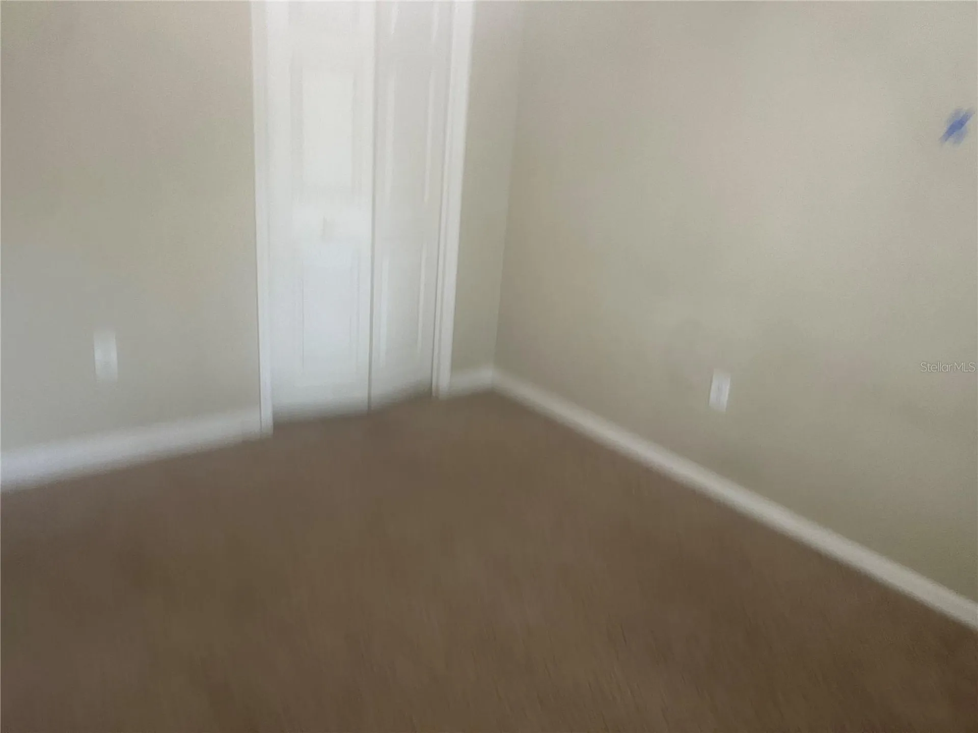10237 Shadow Branch Drive Tampa FL 33647