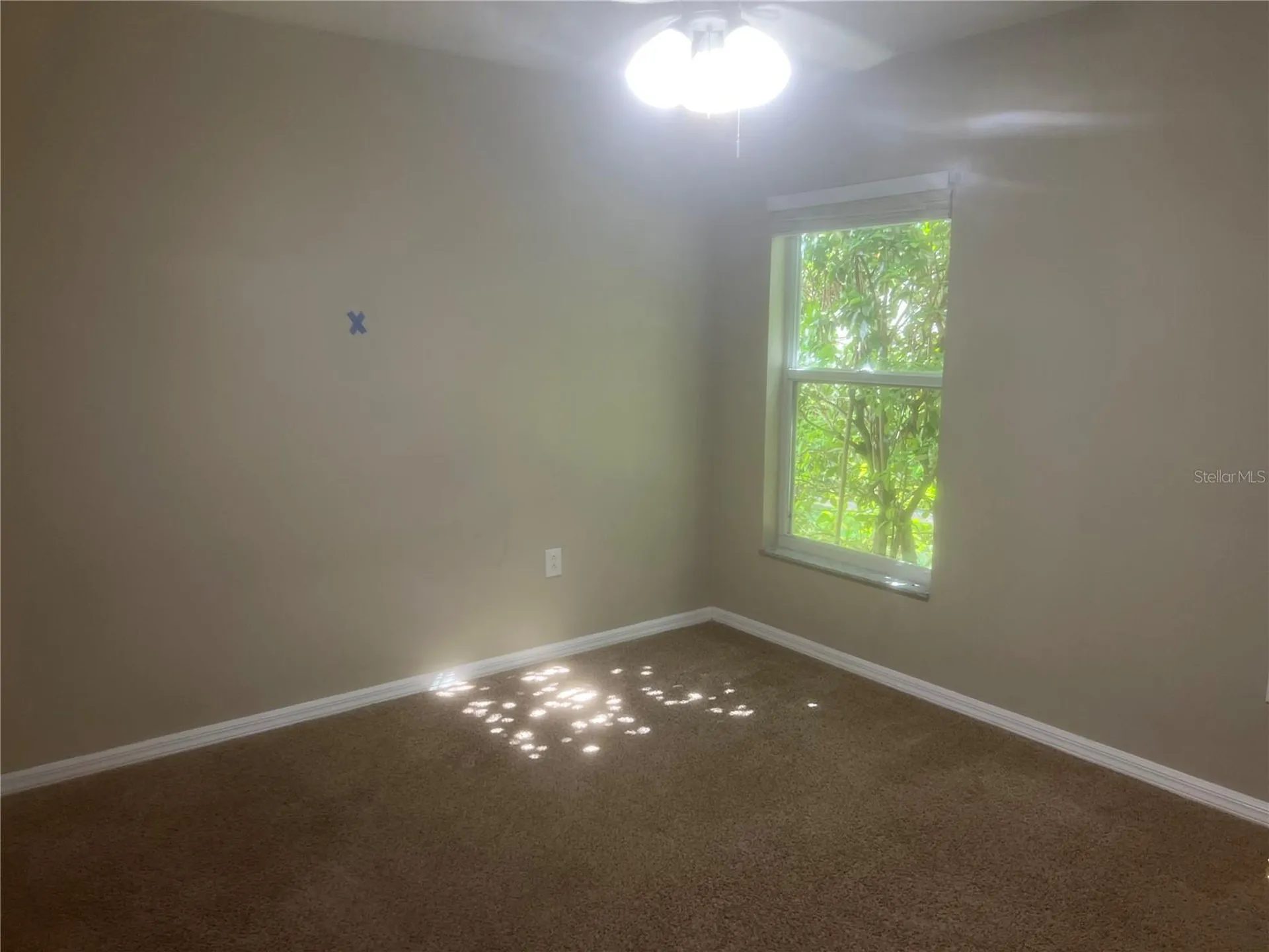 10237 Shadow Branch Drive Tampa FL 33647