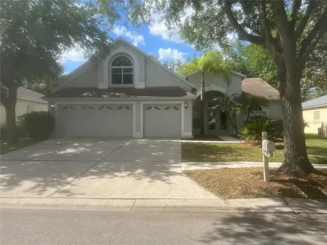 10237 Shadow Branch Drive Tampa FL 33647