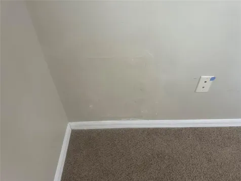10237 Shadow Branch Drive Tampa FL 33647