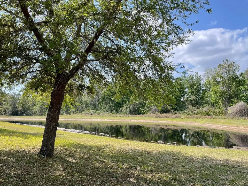 1418 Marsh Meadow Lane Davenport FL 33896
