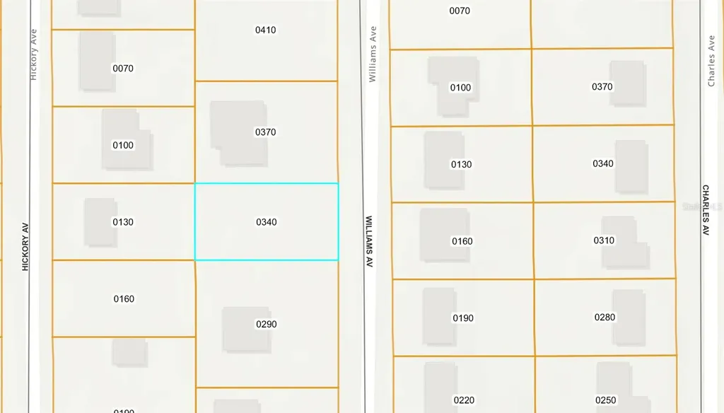 250 Williams Avenue Orange City FL 32763